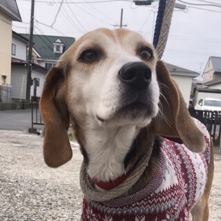 幸せになりました！