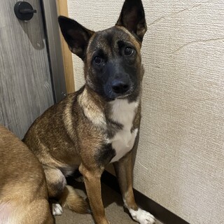 ちょっとビビリな凪ちゃん