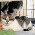 丸顔可愛い猫好きのタク君
