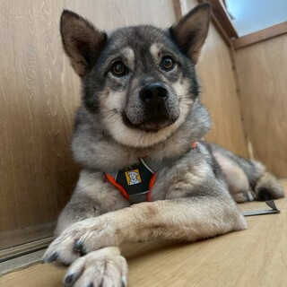 マイペースな【憲伸(けんしん)】くん