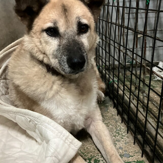 大人しい男の子！タクマくん、人慣れ修行中です