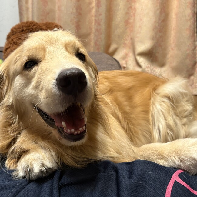 riisa1219のカバー写真