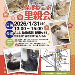 鎌ケ谷開催！保護ねこ里親会