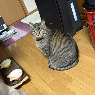 今年もよろしくお願いしますヽ(´▽｀)/