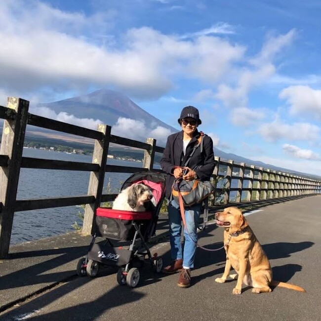 namisan33のカバー写真