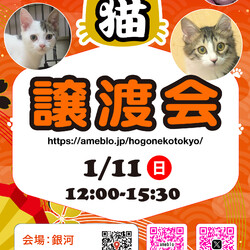 ほごねこ東京譲渡会＠駒込