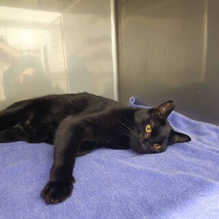 【※1/12 白血病→陰転】由くん(•ө•)♡