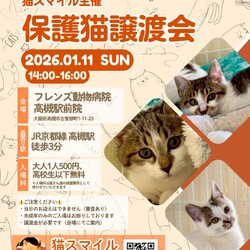 ねこの譲渡会＠高槻市