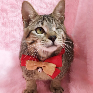 �Жڃn���f�I���ς����C�����ς��w���ہx6�J��