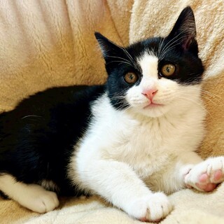 気は優しくて力持ち♪こう君3ヵ月