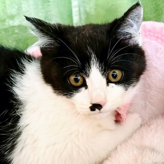 シャイだけど甘え上手♥はく君3ヵ月