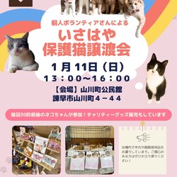 個人ボランティアさんによるいさはや保護猫譲渡会 サムネイル1