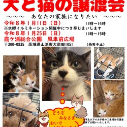 犬猫譲渡会～あなたの家族になりたい～　　　　　　　　