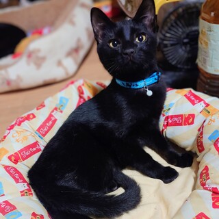 �����̑�}�ւ��甲���o���ė����悤�ȍ��L���A����