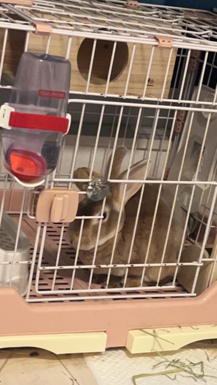 ミニレッキス 3歳男の子 サムネイル2