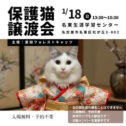 保護猫譲渡会　名古屋市