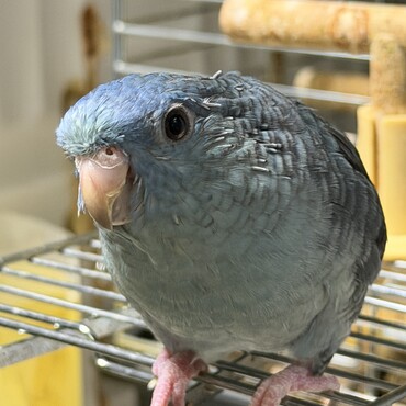 の写真