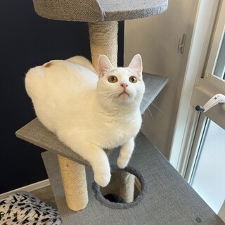 もっちもち触感のオモチちゃん‪‪❤︎‬2歳