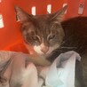 目に障害が残ってるけど見えてます‼︎ サムネイル6