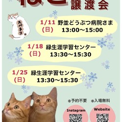 猫の譲渡会 １/18（日）緑生涯学習センターで開催