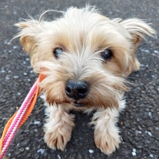 人が大好き、明るく元気なシニア女子のしんでぃーな