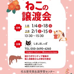 しましましっぽ譲渡会⭐︎東区