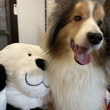 アーロンの写真