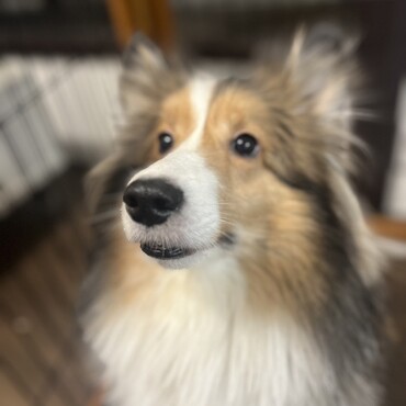 アーロンの写真