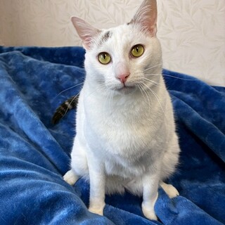 天真爛漫なてんくん。甘えん坊で、頭の良い子です!!