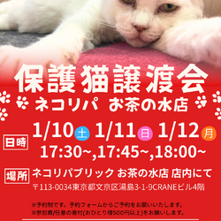 【保護猫譲渡会＠ネコリパ東京 お茶の水店】