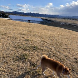 「2026も元気にがんばる！」サムネイル1