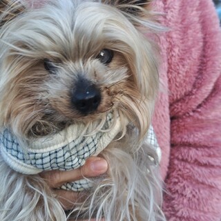 ミニマムサイズのゲン君