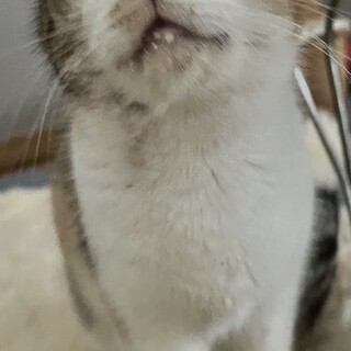 可愛がってくれる人募集中