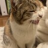 可愛がってくれる人募集中 サムネイル2