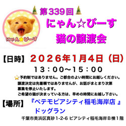 にゃん☆ぴーす猫の譲渡会【稲毛海岸/ペテモピアシティ稲毛海岸店』
