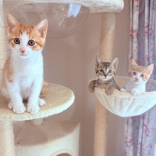 おっちょこちょいな可愛い子♡