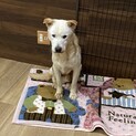 まだまだ元気！