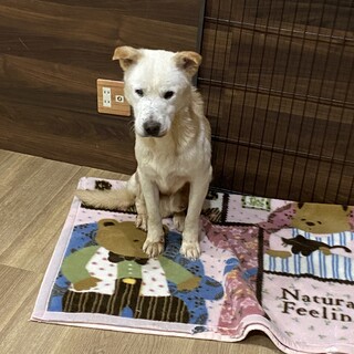 まだまだ元気！