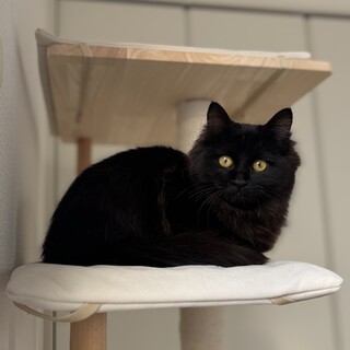 1/12高田馬場★クウちゃん★おっとりgirl