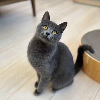 1/12高田馬場★ムウちゃん★甘えたgirl