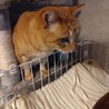 お外頑張り組　5歳チャーくん サムネイル3
