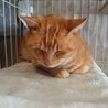 お外頑張り組　5歳チャーくん サムネイル4