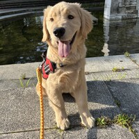 平成八事動物病院