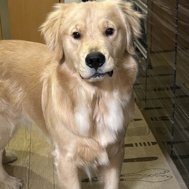 食後の落ち着いた写真です。