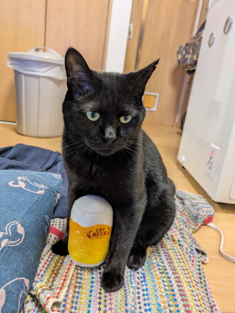 見た目は大人中身は子ども小さな怪獣「のりたま」です サムネイル4