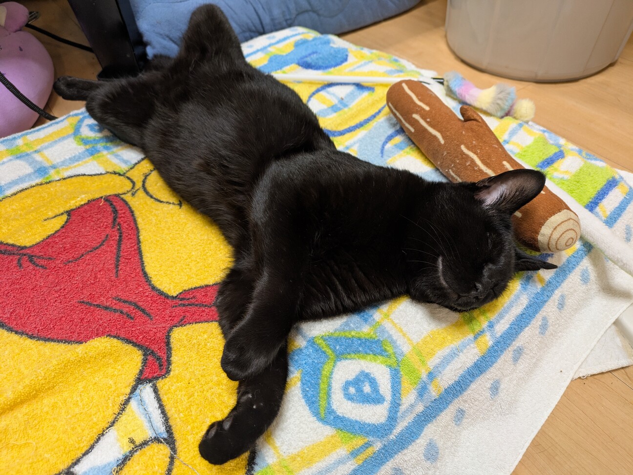 見た目は大人中身は子ども小さな怪獣「のりたま」です サムネイル7