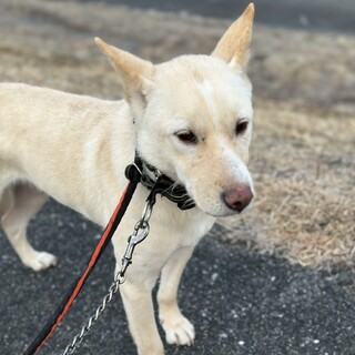 静かに笑わせる男⭐︎ルーチ