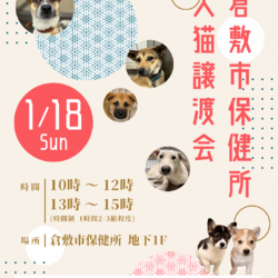 倉敷市保健所　収容犬猫譲渡会