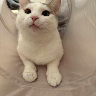 白内障の手術を乗り越え幸せになる！