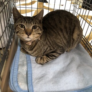 夏くん　約６ヶ月